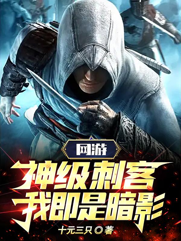 网游神级刺客我即是暗影讲解